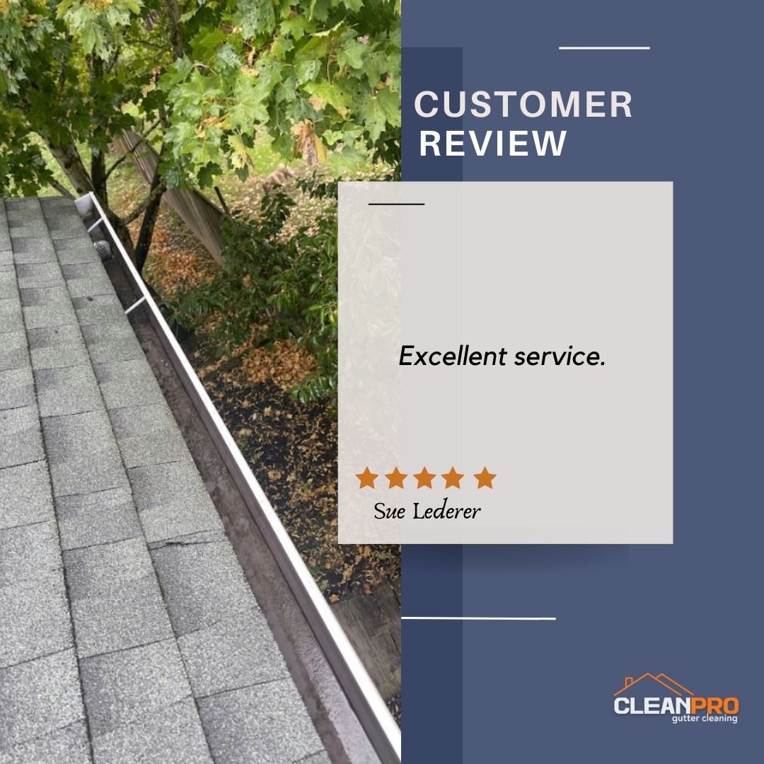 Sue From Middleton, WI gives us a 5 star review for a recent gutter cleaning service.