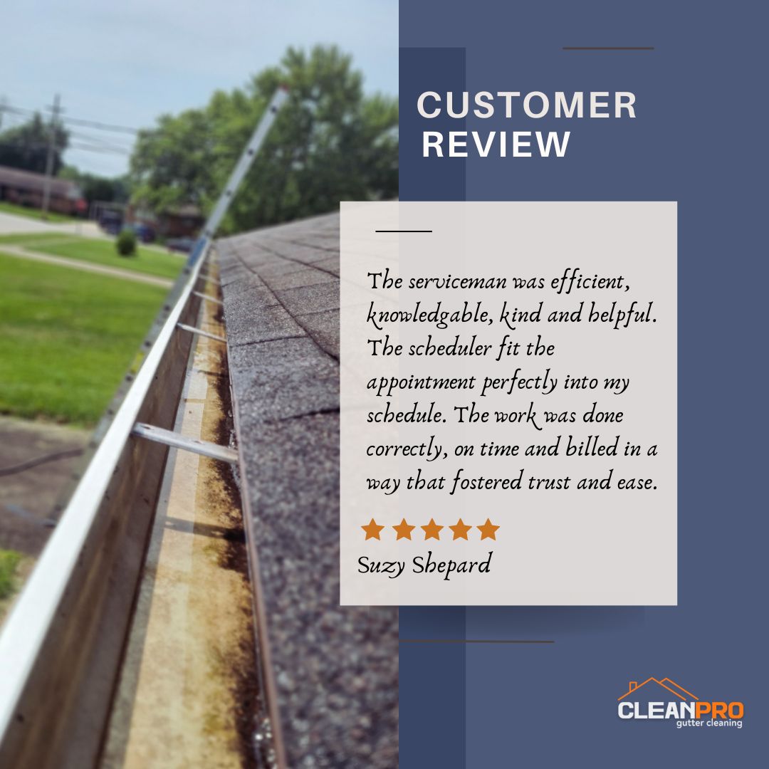Suzy from Kennesaw, GA gives us a 5 star review for a recent gutter cleaning service.