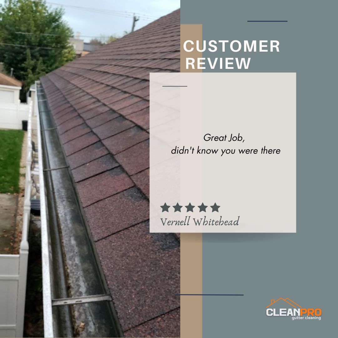 Vernell From Lilburn, GA gives us a 5 star review for a recent gutter cleaning service.