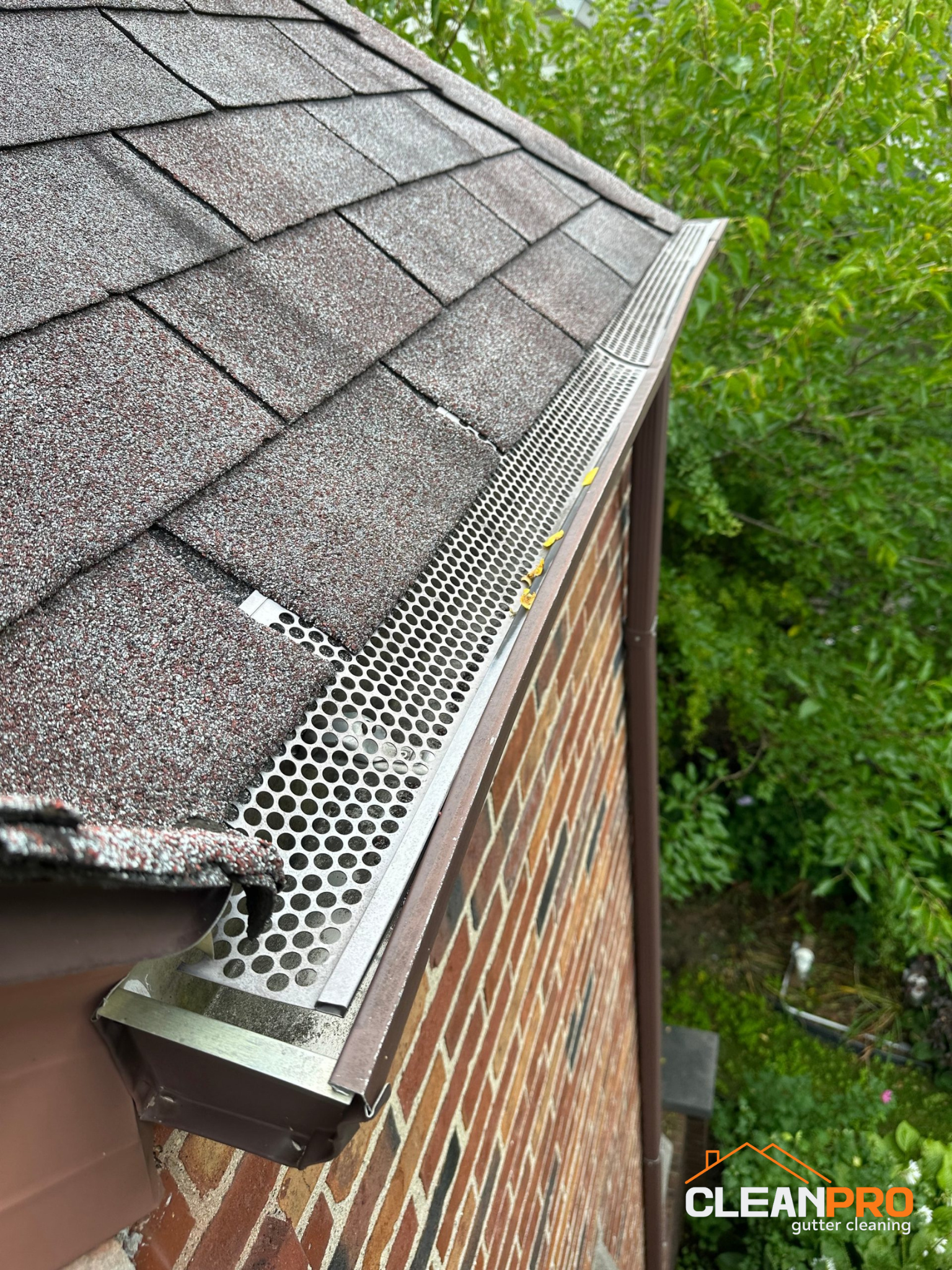 Gutter Cleaning in Birmingham for Carla Home