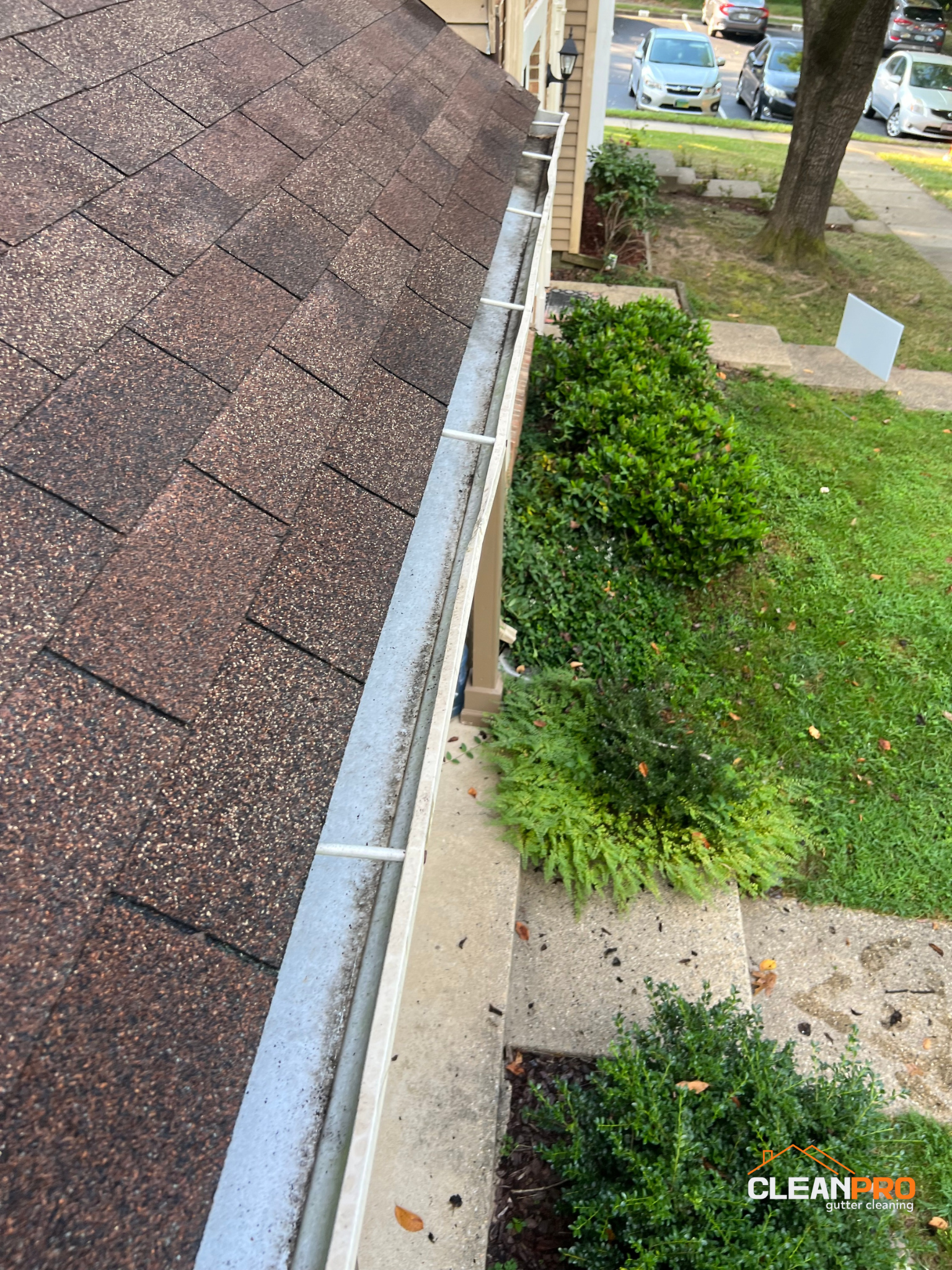 Gutter Cleaning in Orlando for Marcia Home