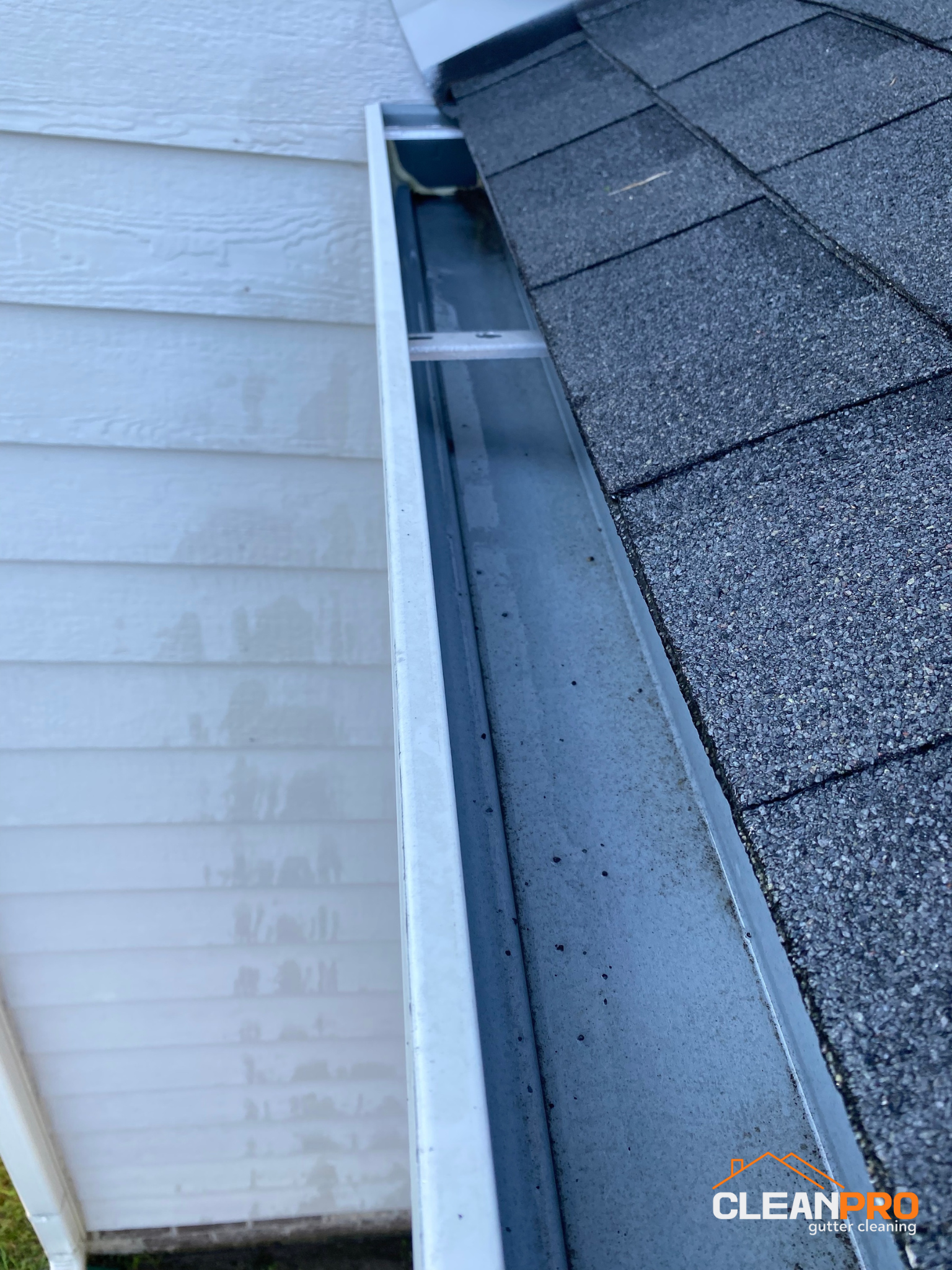 Gutter Cleaning in Virginia Beach for Leon's Home