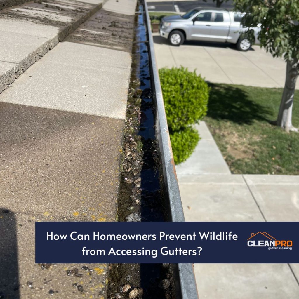 How Can Homeowners Prevent Wildlife from Accessing Gutters?