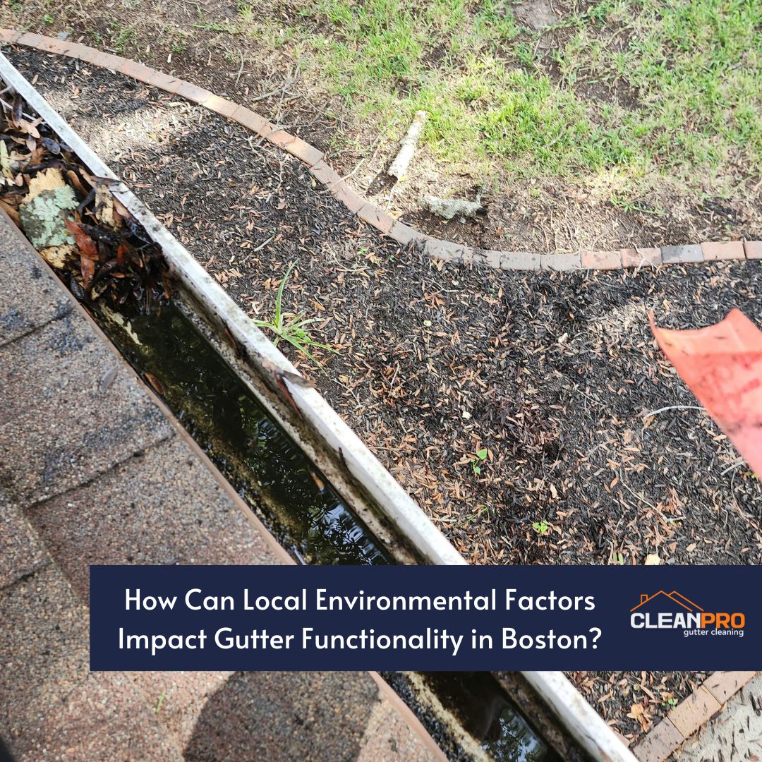 How Can Local Environmental Factors Impact Gutter Functionality in Boston?