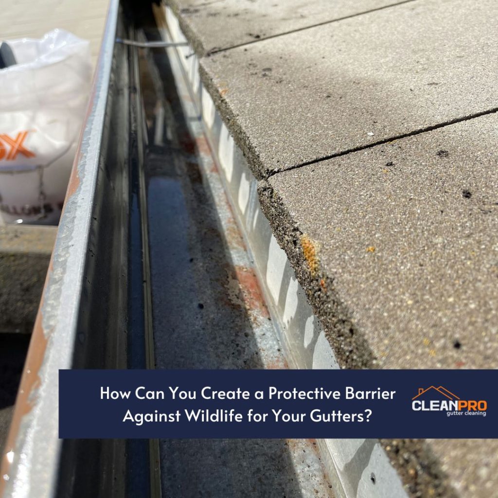 How Can You Create a Protective Barrier Against Wildlife for Your Gutters?