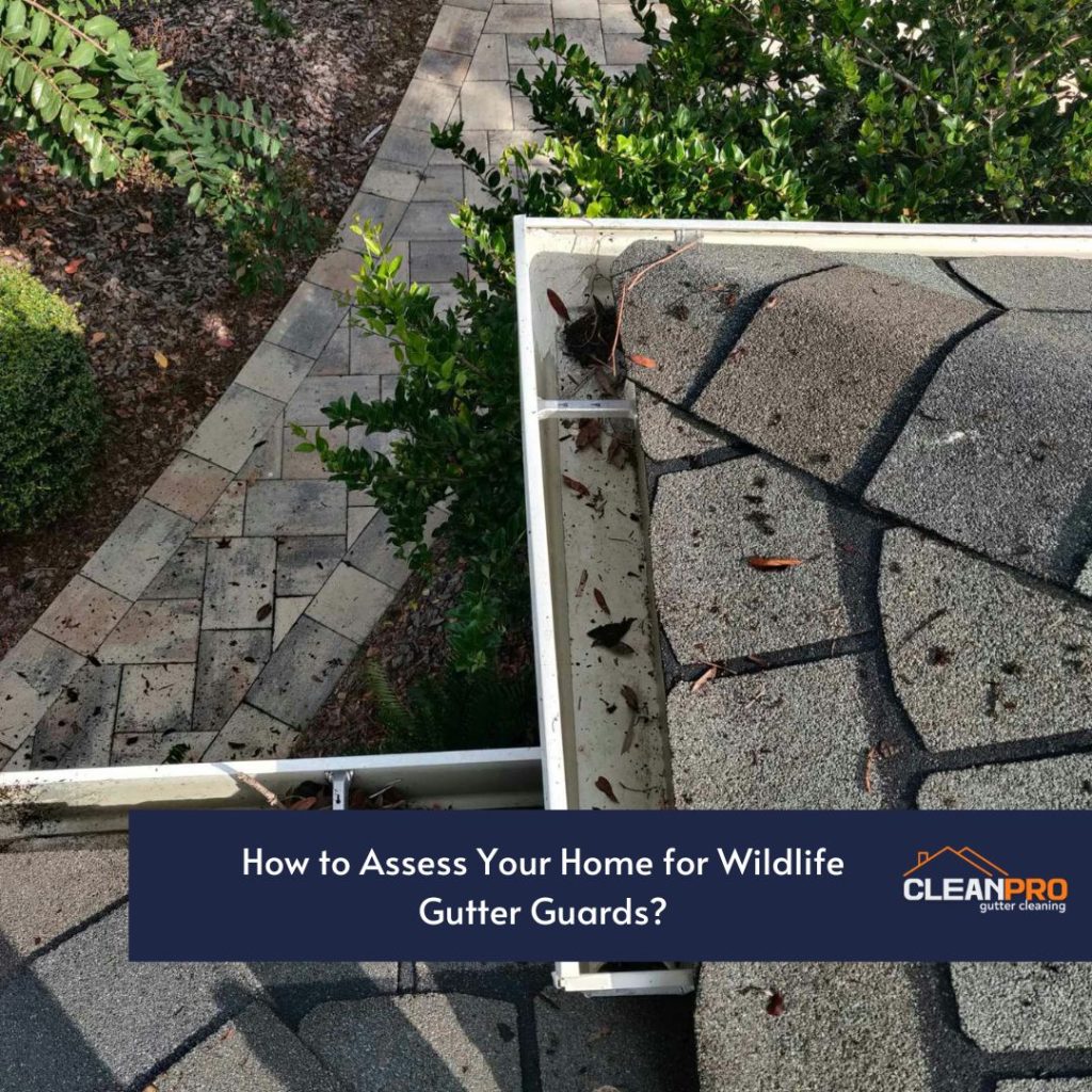How to Assess Your Home for Wildlife Gutter Guards?