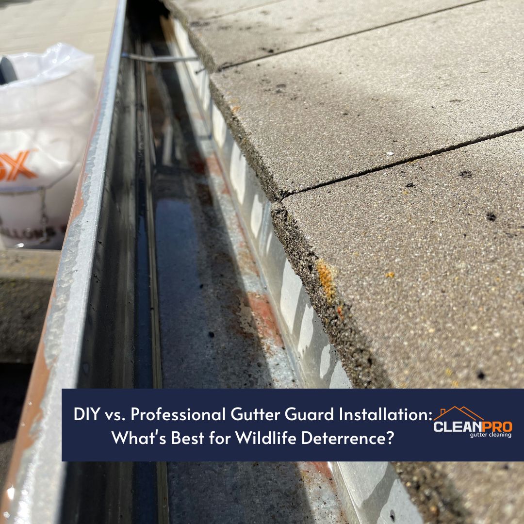 DIY vs. Professional Gutter Guard Installation: What's Best for Wildlife Deterrence?