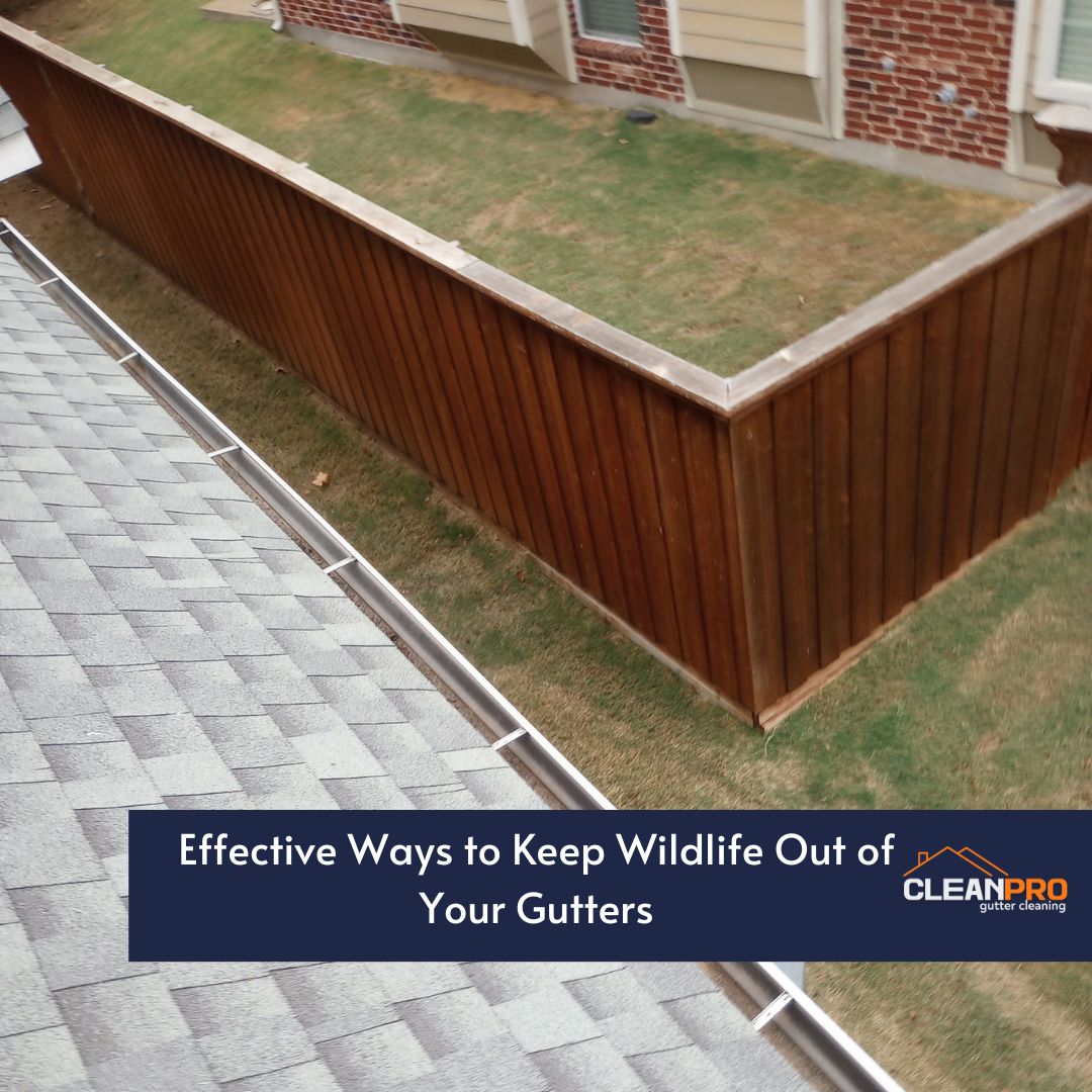 Effective Ways to Keep Wildlife Out of Your Gutters