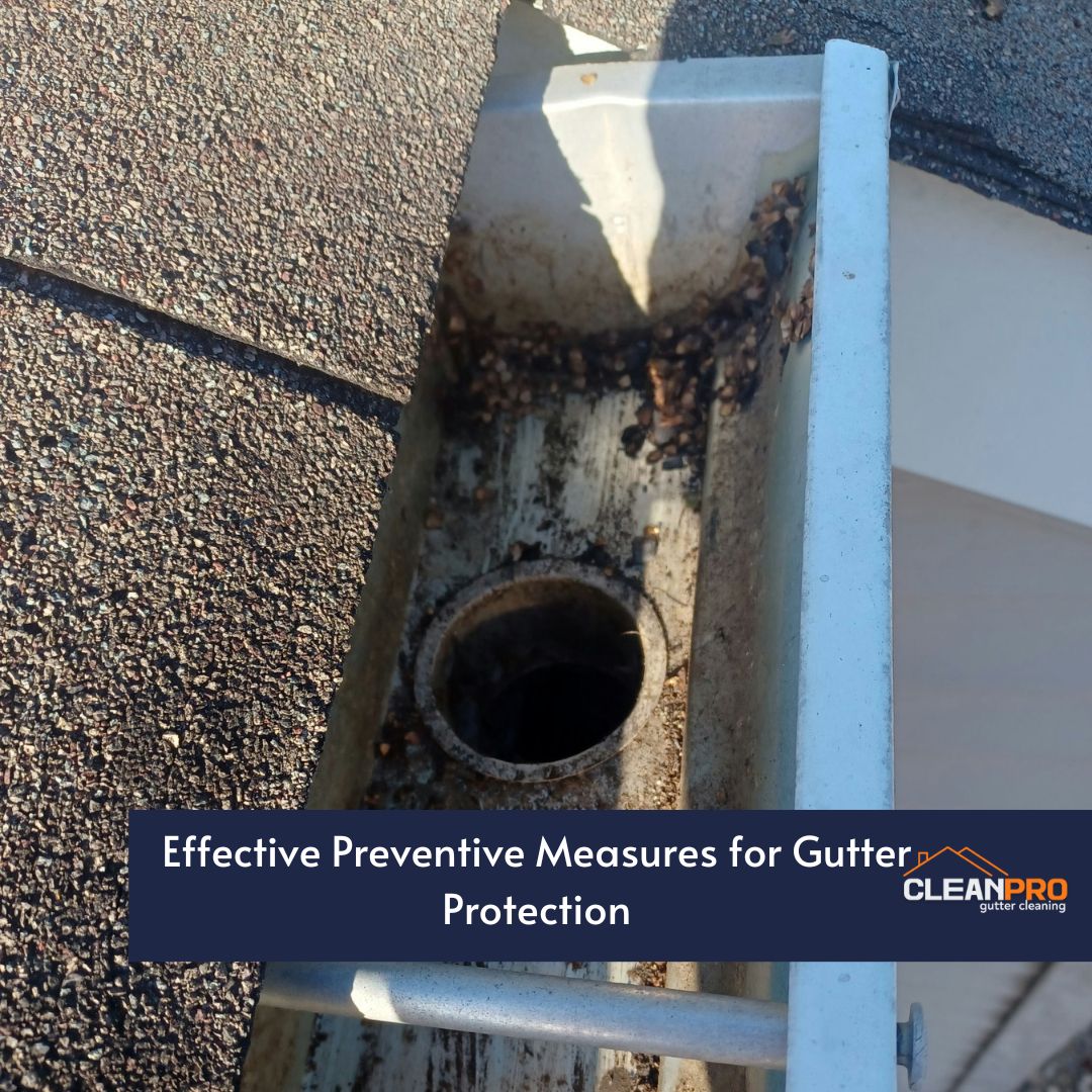 Effective Preventive Measures for Gutter Protection