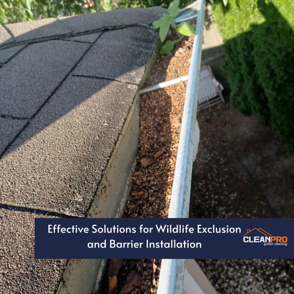 Keeping Local Wildlife Out of Your Gutters in Indianapolis, IN