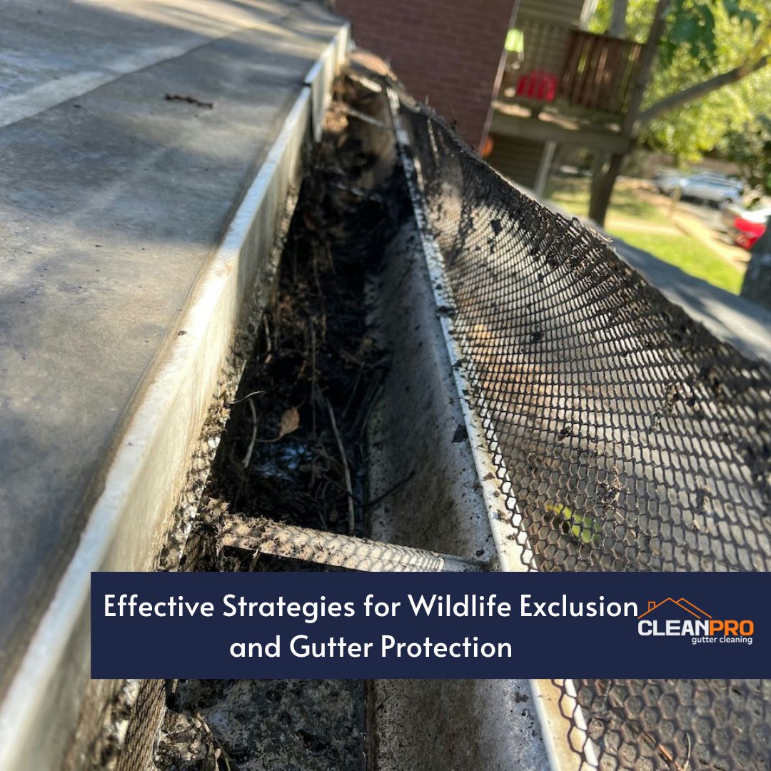 Effective Strategies for Wildlife Exclusion and Gutter Protection