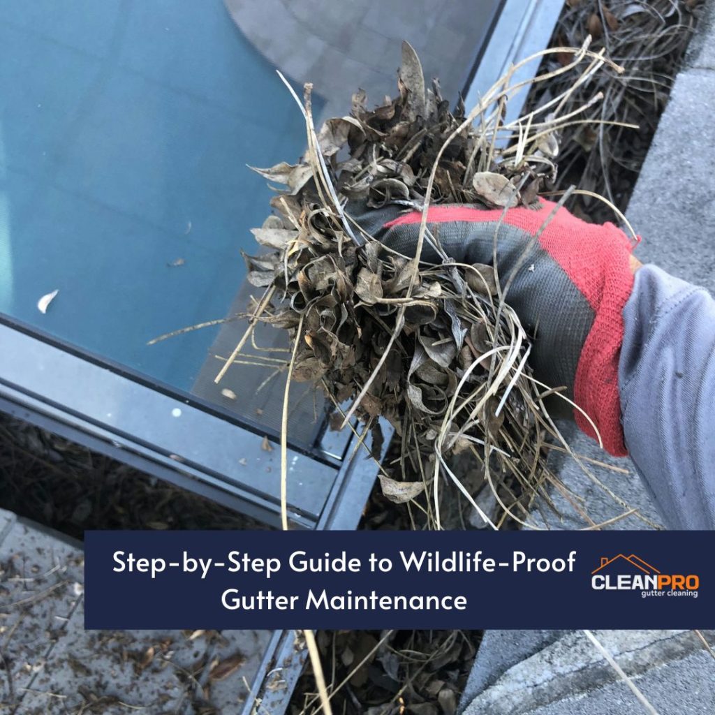 Keeping Local Wildlife Out of Your Gutters in Newport New, VA