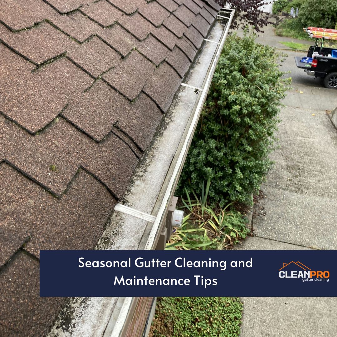 Seasonal Gutter Cleaning and Maintenance Tips