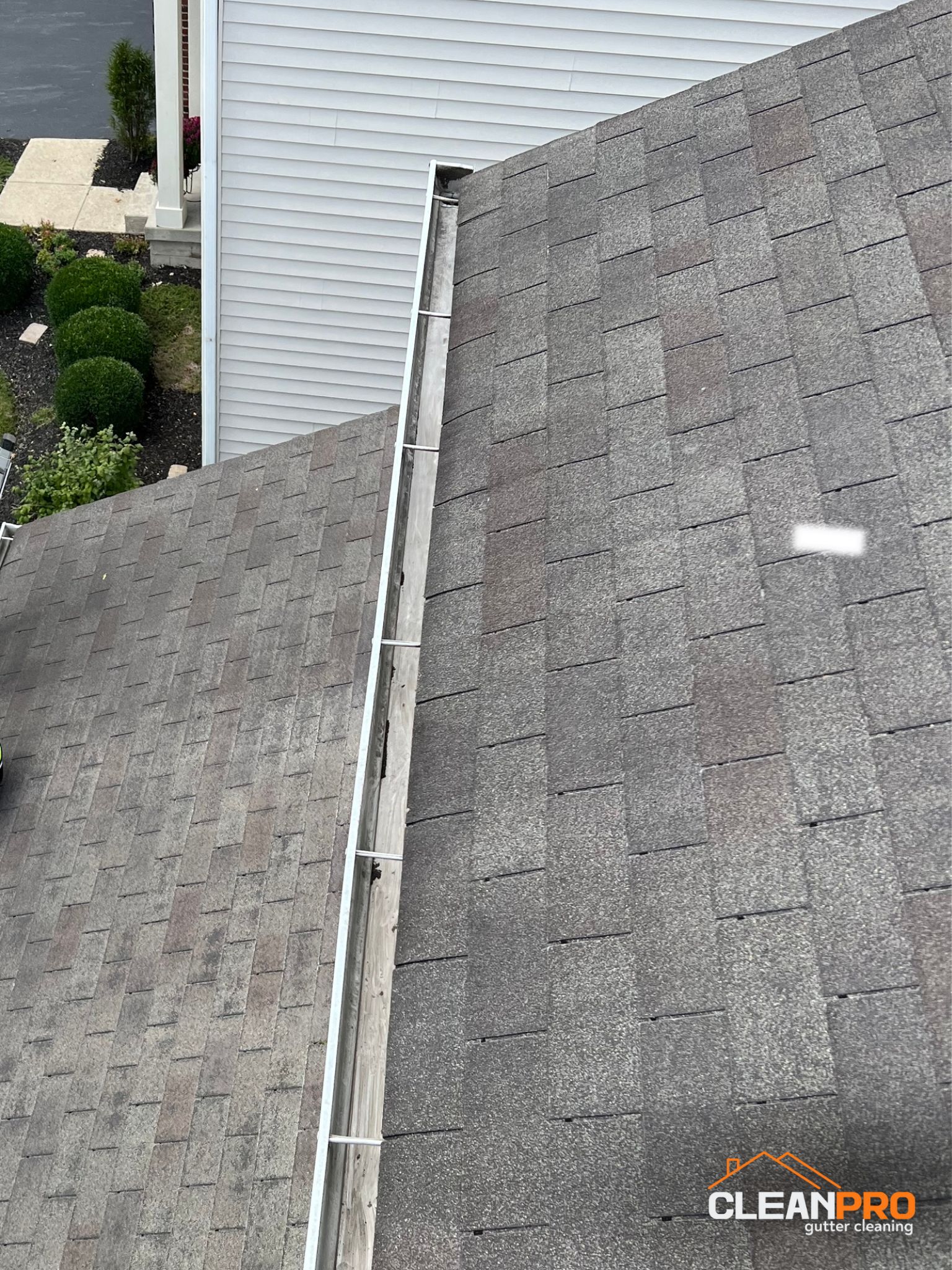 Local Gutter Cleaning in Raleigh 