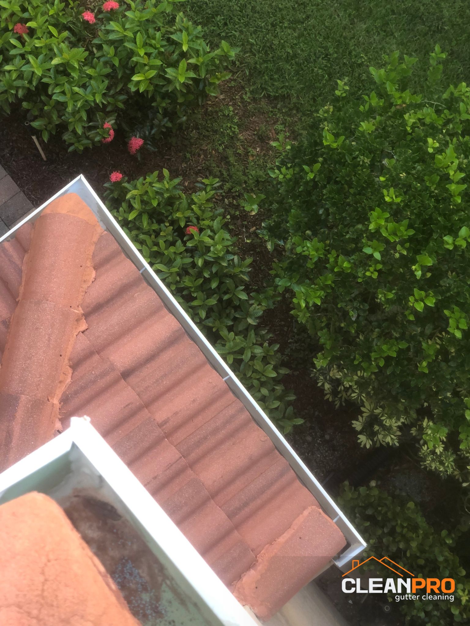 Residential Gutter Cleaning in Naples FL