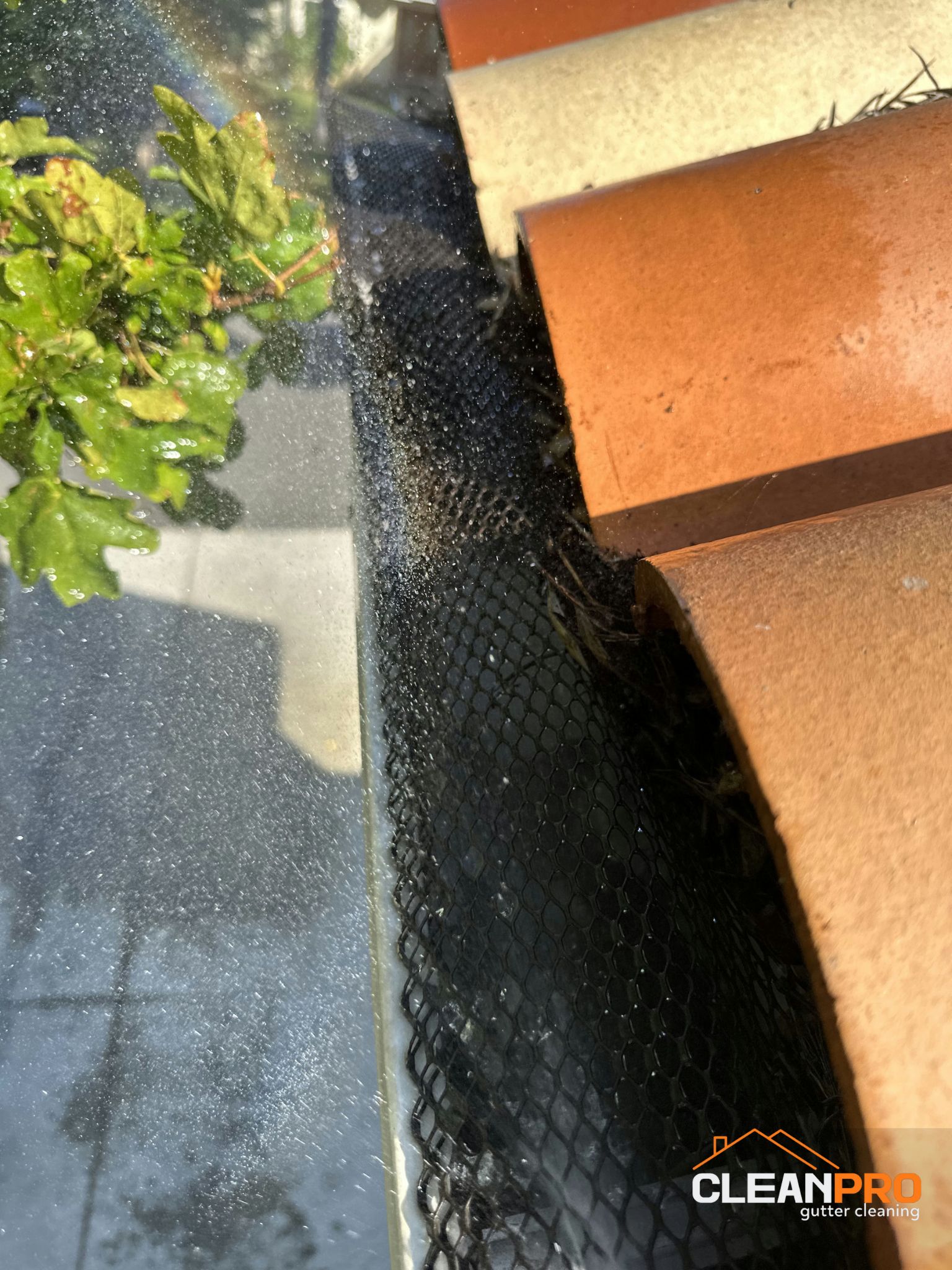 Local Gutter Cleaning in Raleigh