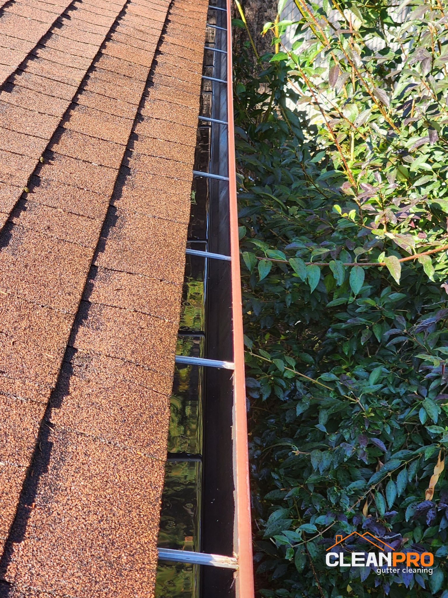 Local Gutter Cleaning in San Diego