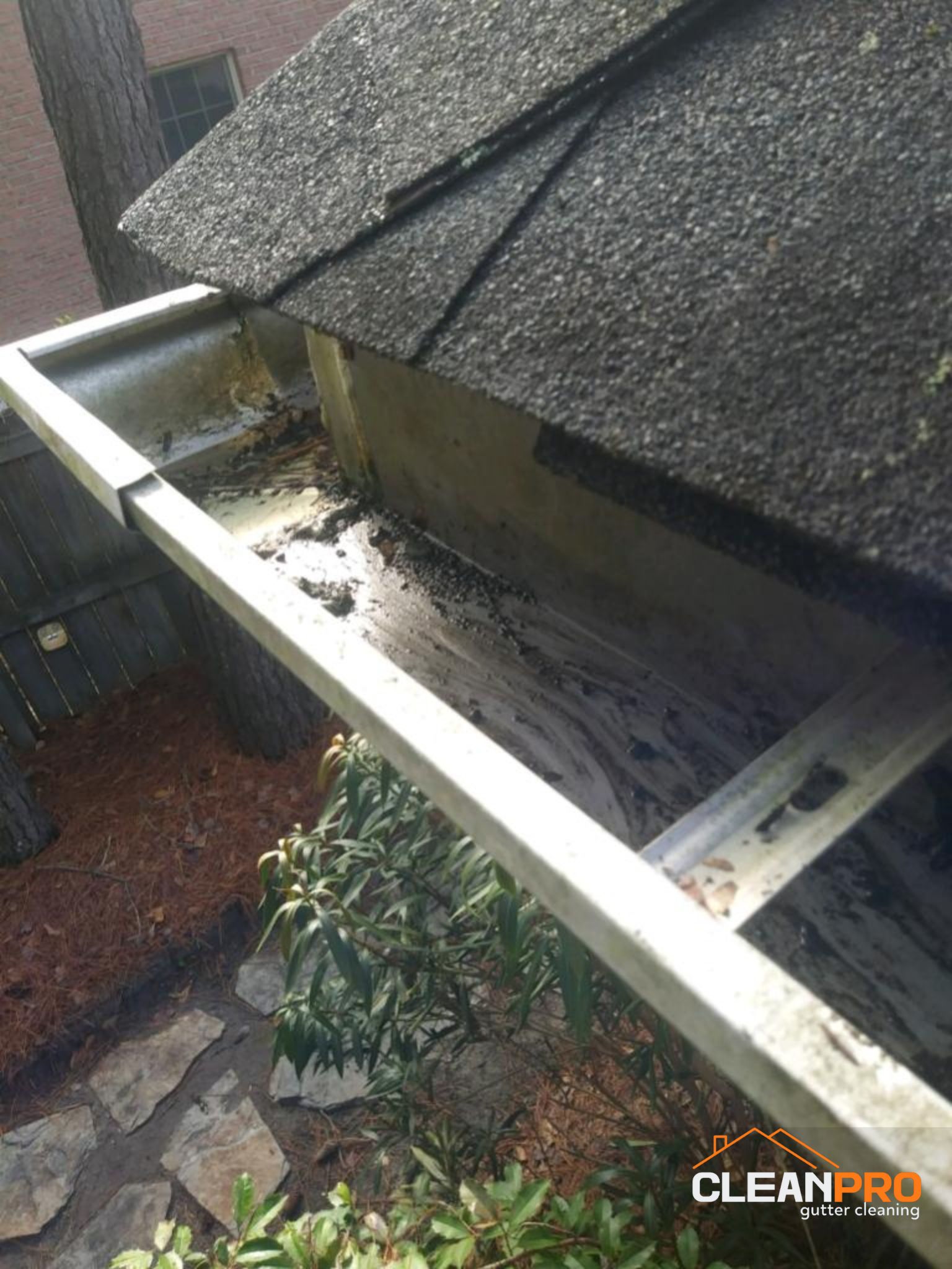 Local Gutter Cleaning in Tacoma