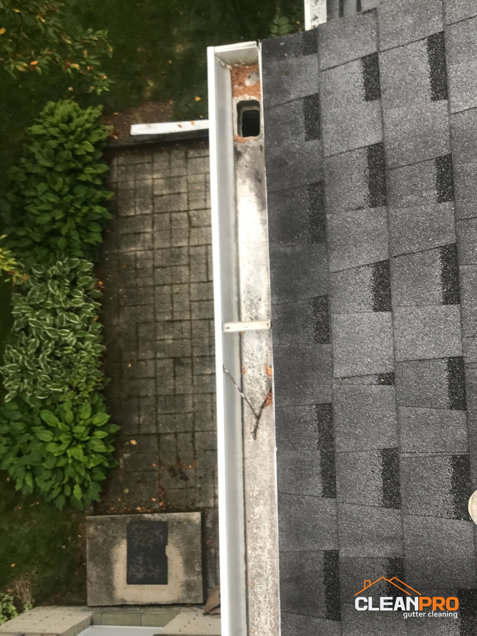Residential Gutter Cleaning in Raleigh  NC