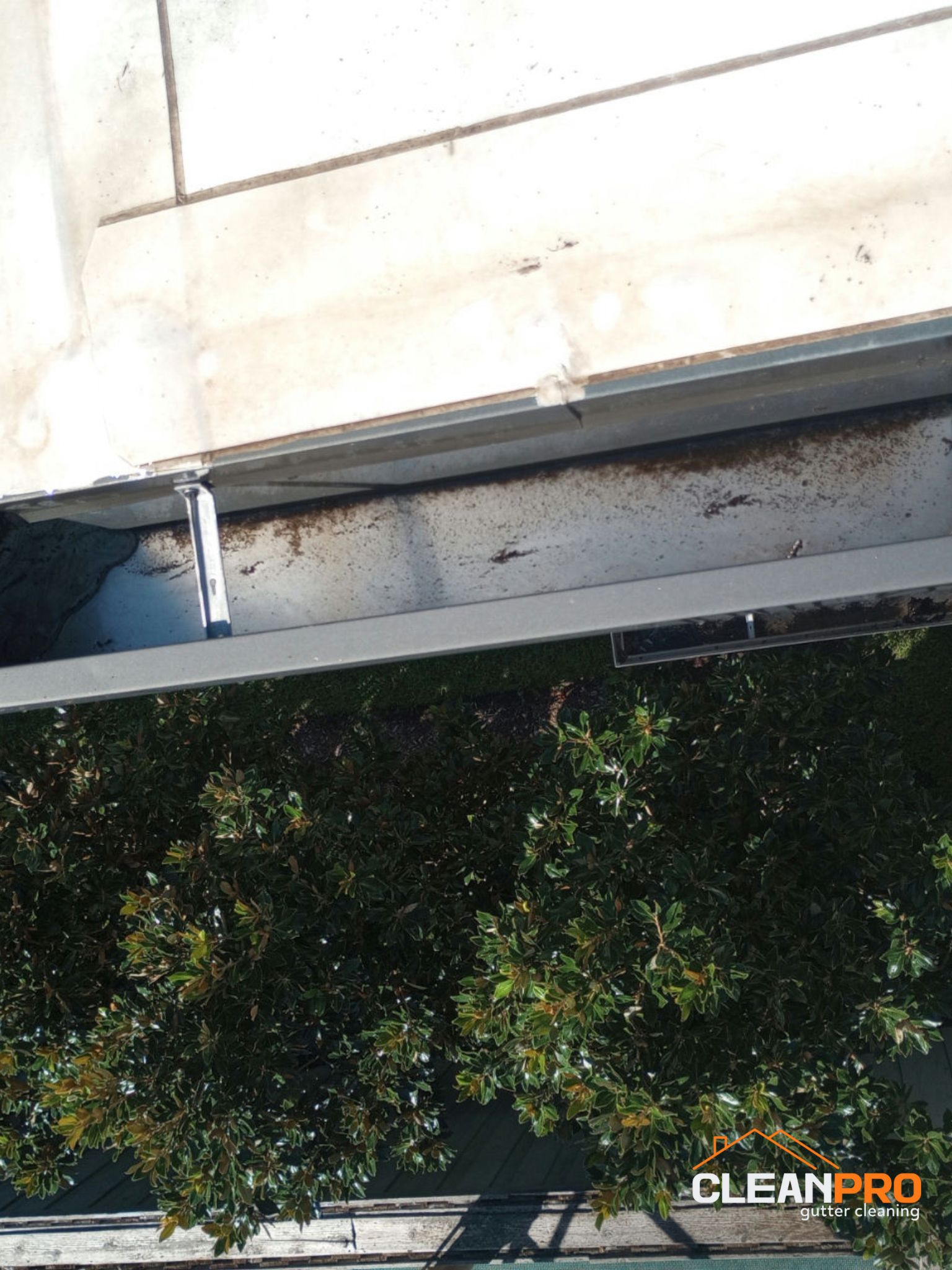 Residential Gutter Cleaning in Knoxville TN