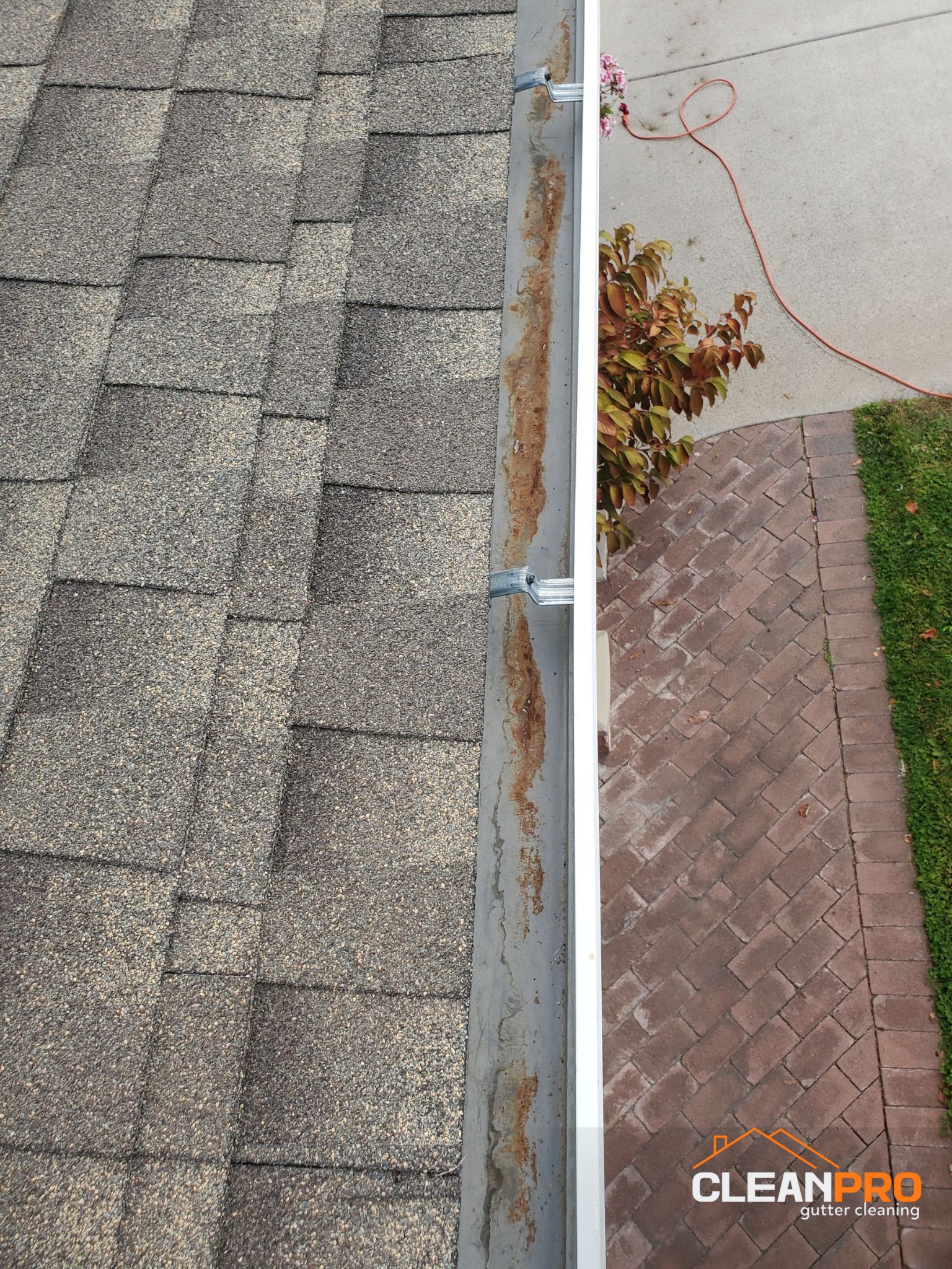 Residential Gutter Cleaning in Lexington KY