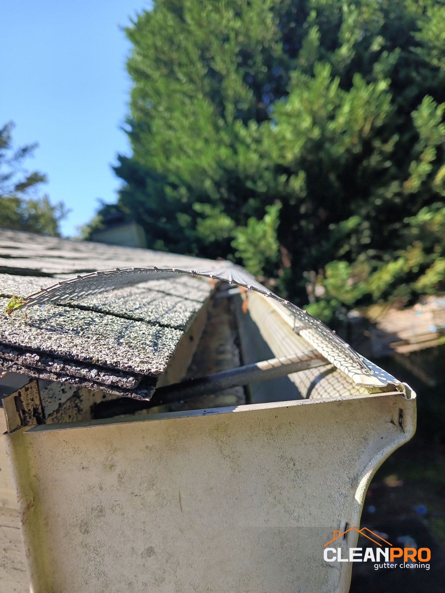 Local Gutter Cleaning in Memphis