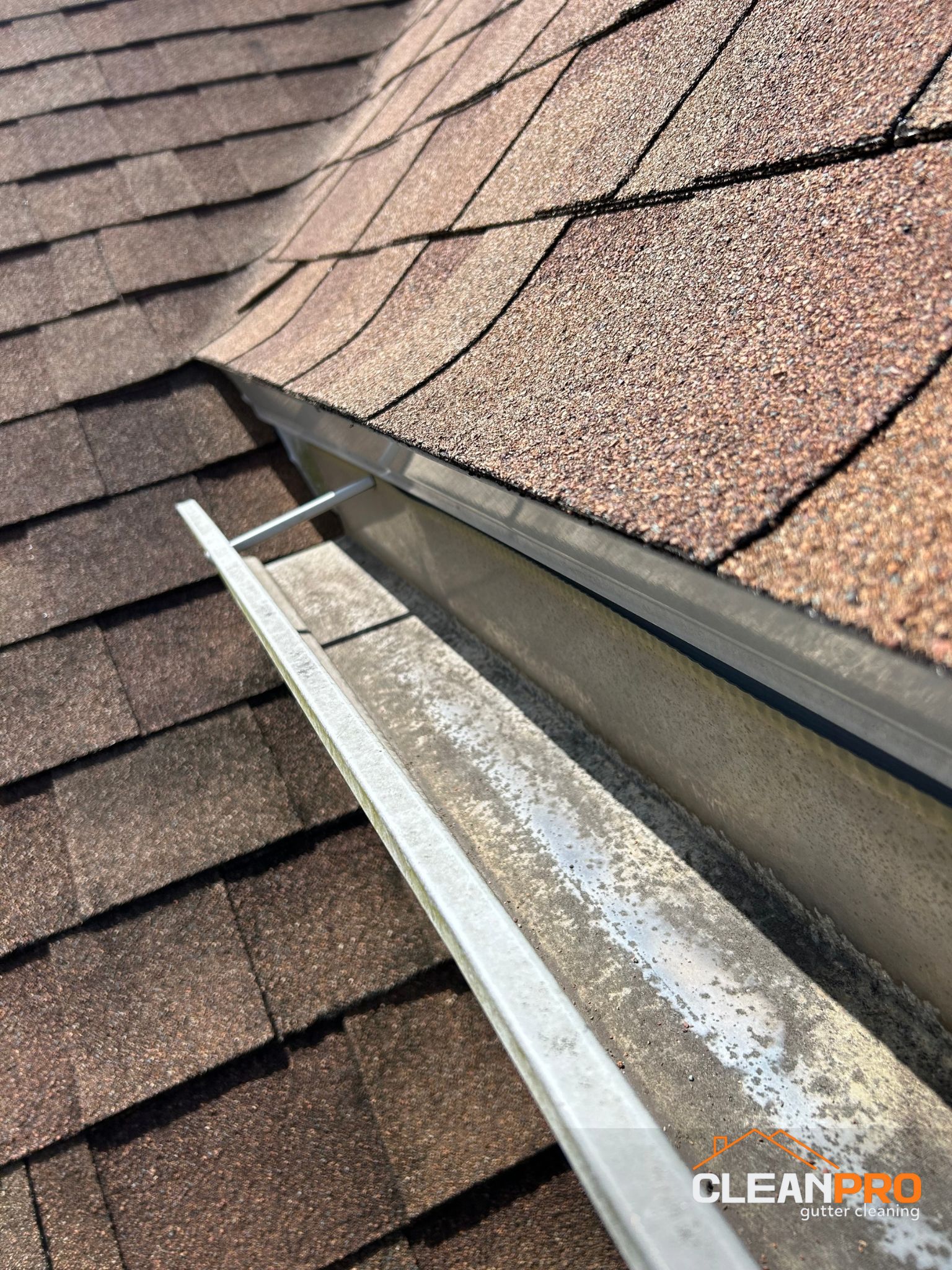 Residential Gutter Cleaning in Minneapolis MN