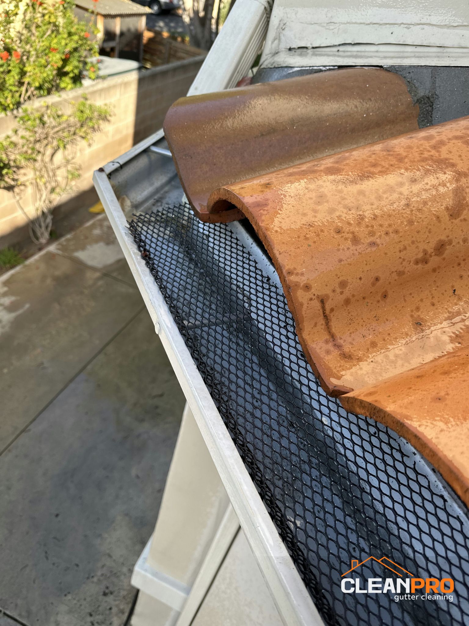 Residential Gutter Cleaning in Raleigh NC