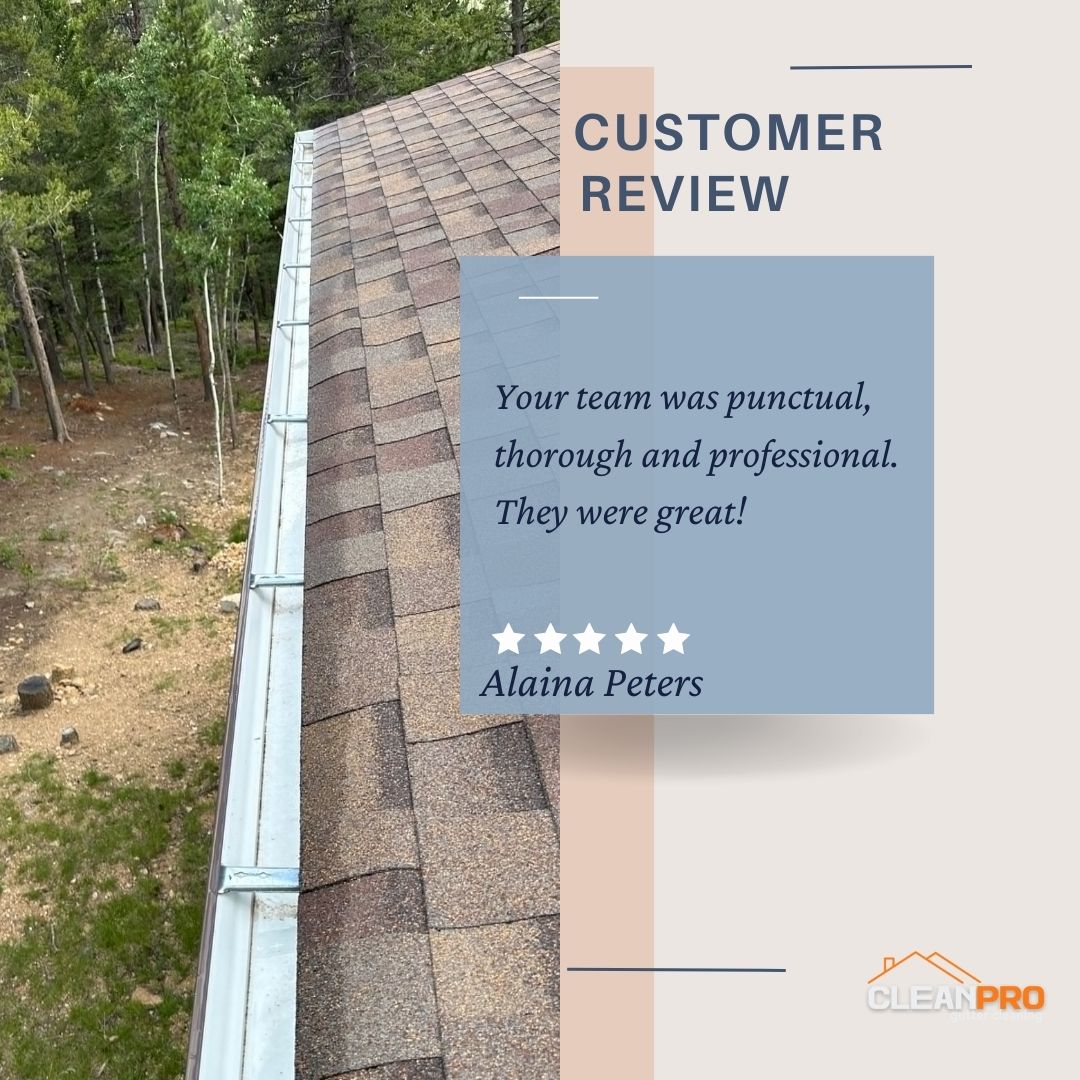 Alaina Peters from Springfield, MO gives us a 5 star review for a recent gutter cleaning service.
