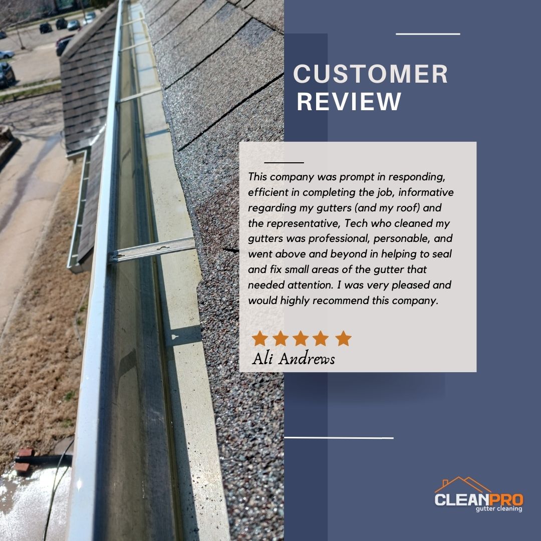 Ali from Columbia, MO gives us a 5 star review for a recent gutter cleaning service.