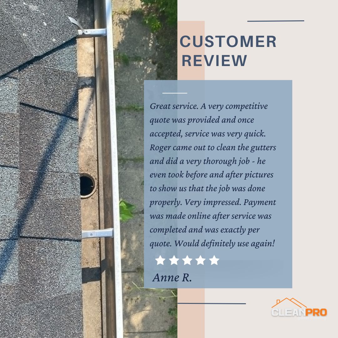 Anne in Cary, NC gives us a 5 star review for a recent gutter cleaning service.