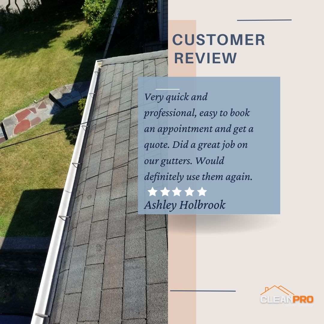 Ashley from Boulder, CO gives us a 5 star review for a recent gutter cleaning service.