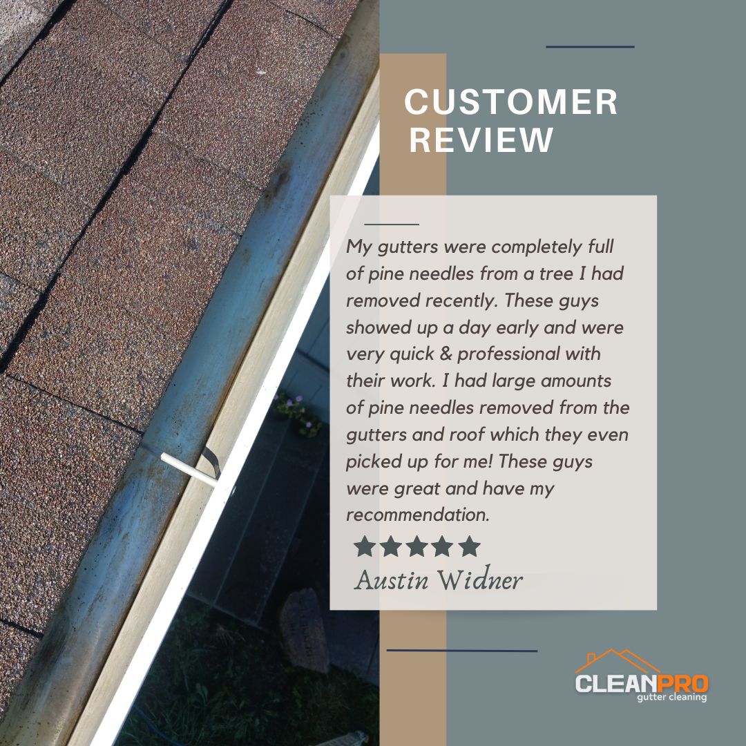 Austin from Norfolk, VA gives us a 5 star review for a recent gutter cleaning service.