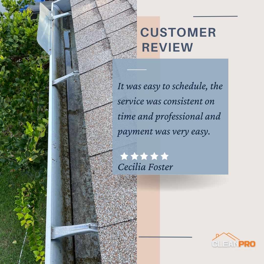 Cecilia in Durham, NC gives us a 5 star review for a recent gutter cleaning service.