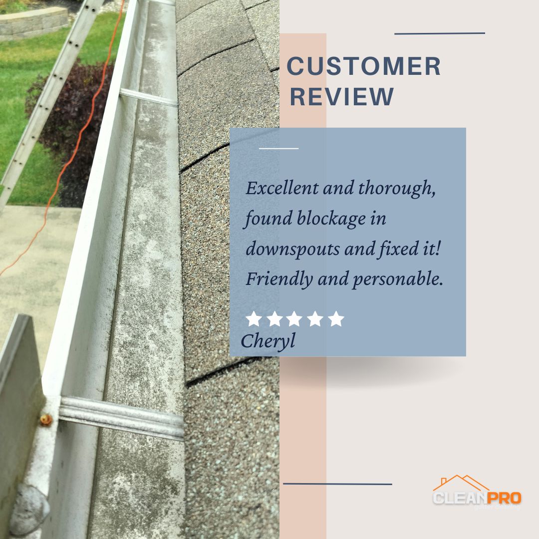 Cheryl in Indianapolis, IN gives us a 5 star review for a recent gutter cleaning service.