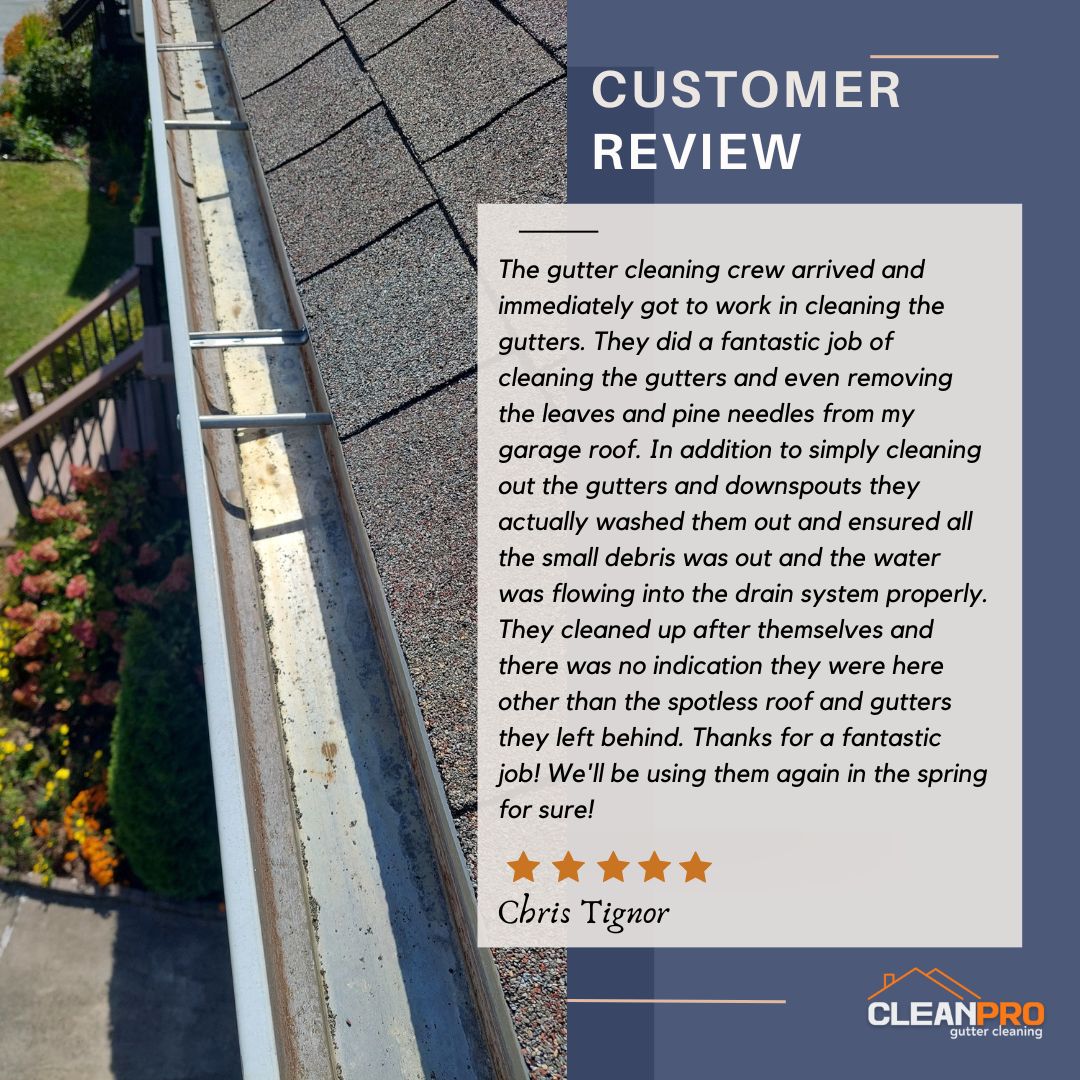 Chris from Detroit, MI gives us a 5 star review for a recent gutter cleaning service.