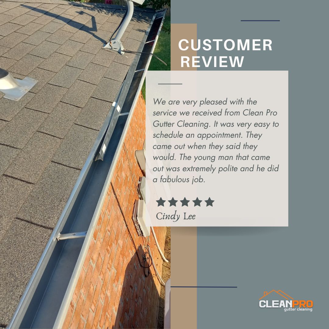 Cindy in Naperville, IL gives us a 5 star review for a recent gutter cleaning service.