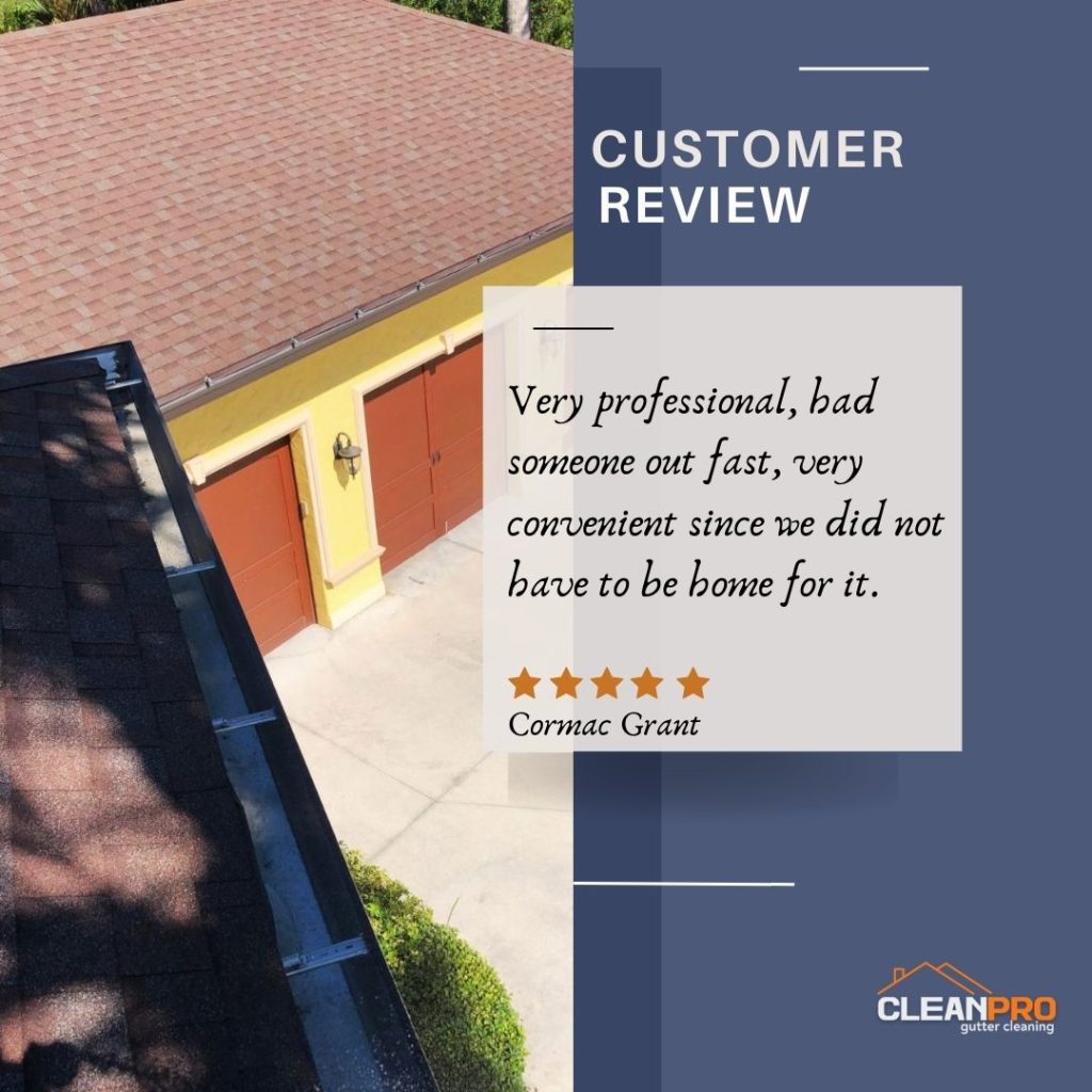 Cormac in Alexandria, VA gives us a 5 star review for a recent gutter cleaning service.
