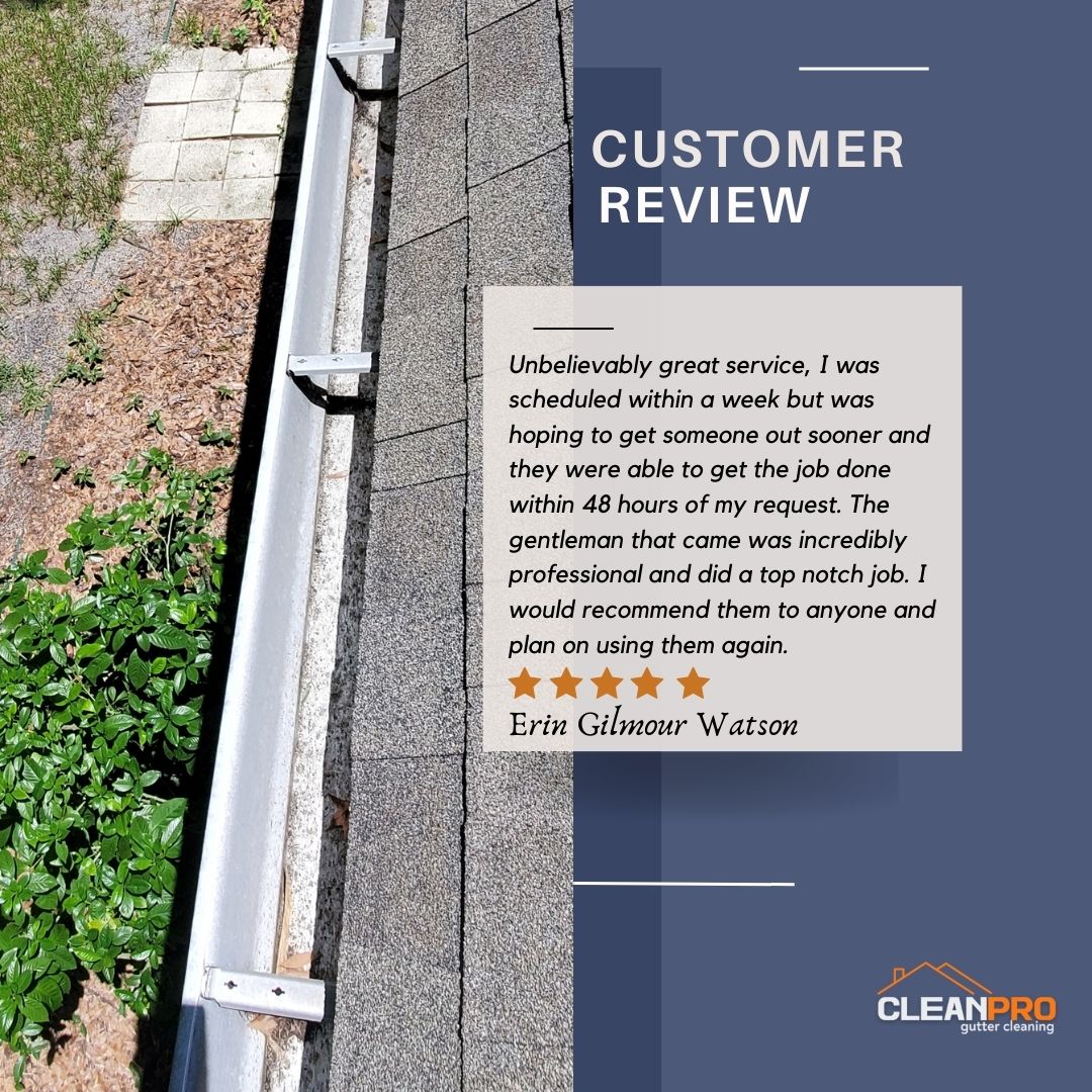 Erin in Charleston, SC gives us a 5 star review for a recent gutter cleaning service.