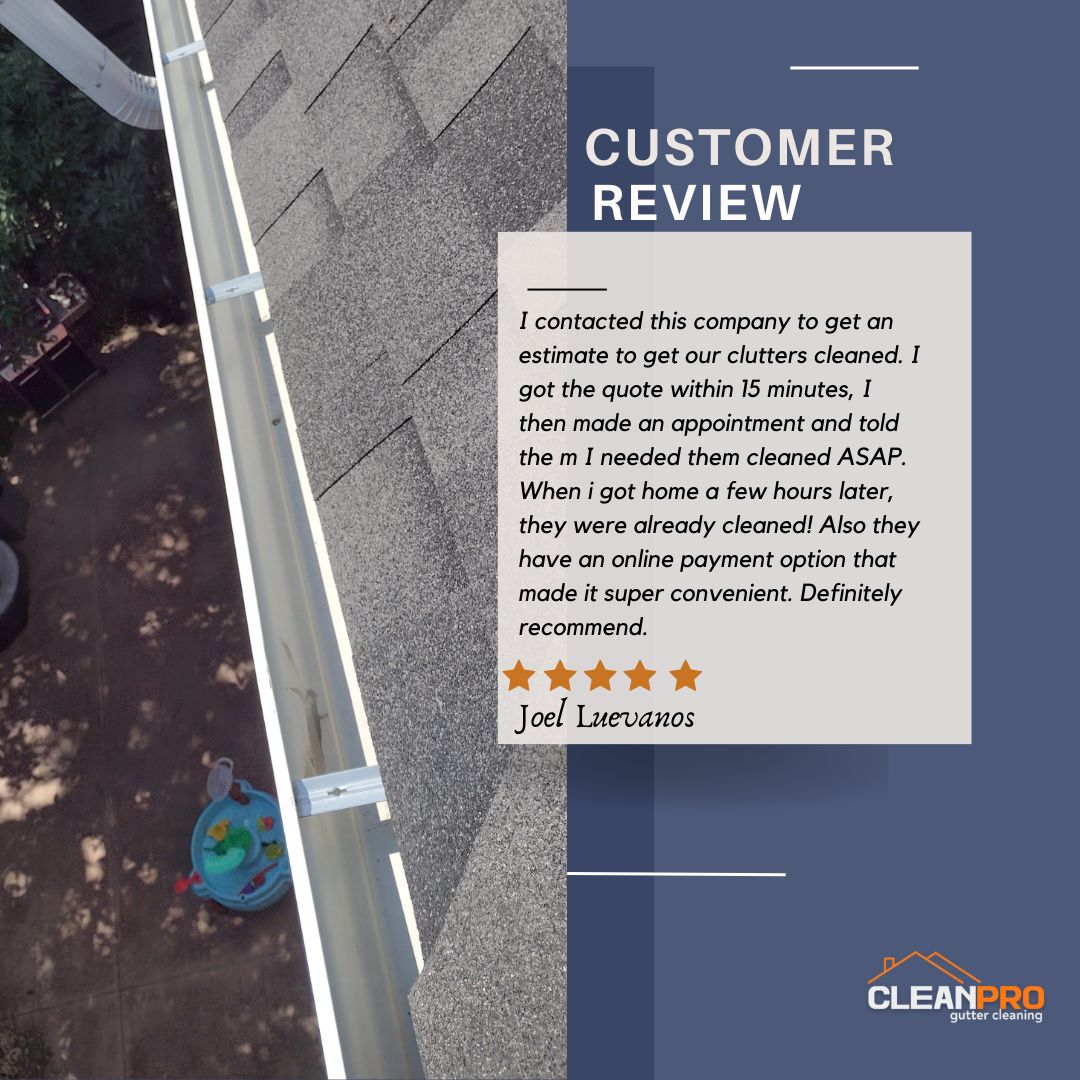 Joel in Minneapolis, MN gives us a 5 star review for a recent gutter cleaning service.
