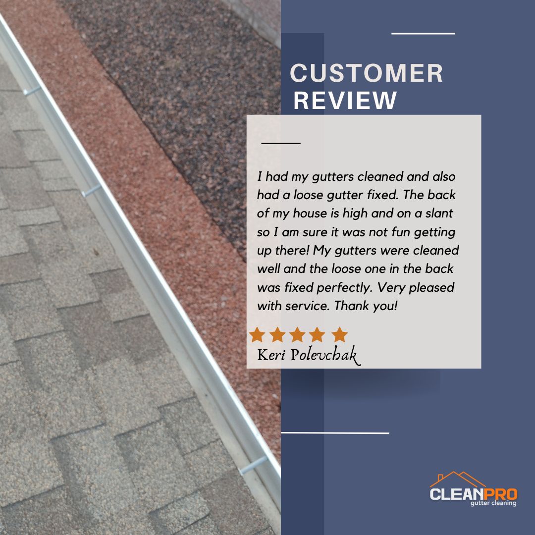 Keri from Minneapolis, MN gives us a 5 star review for a recent gutter cleaning service.