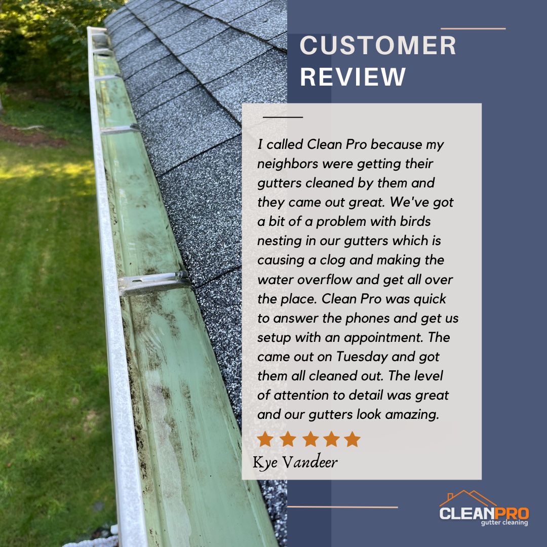 Kye from Memphis, TN gives us a 5 star review for a recent gutter cleaning service.