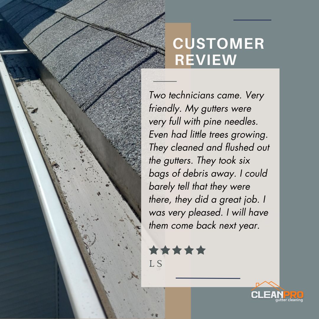 L. S. from Detroit, MI gives us a 5 star review for a recent gutter cleaning service.