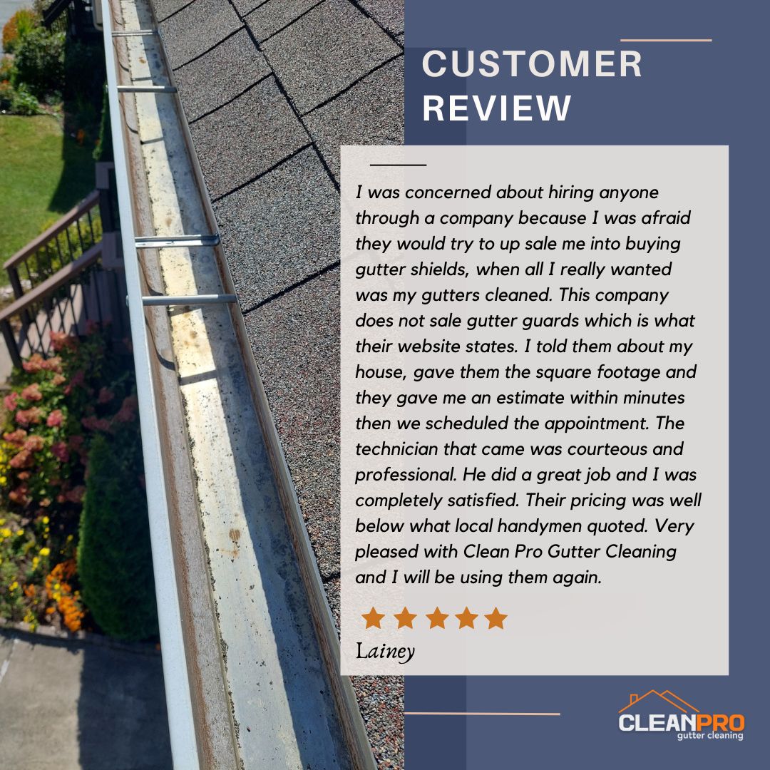 Lainey from Dayton, OH gives us a 5 star review for a recent gutter cleaning service.