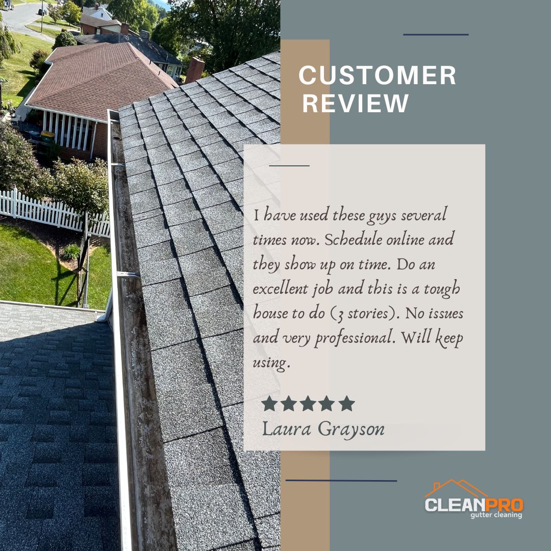 Laura from Norfolk, VA gives us a 5 star review for a recent gutter cleaning service.