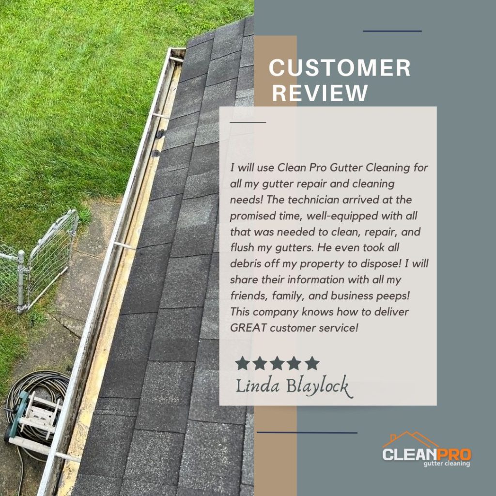 Linda from Rochester, NY gives us a 5 star review for a recent gutter cleaning service.