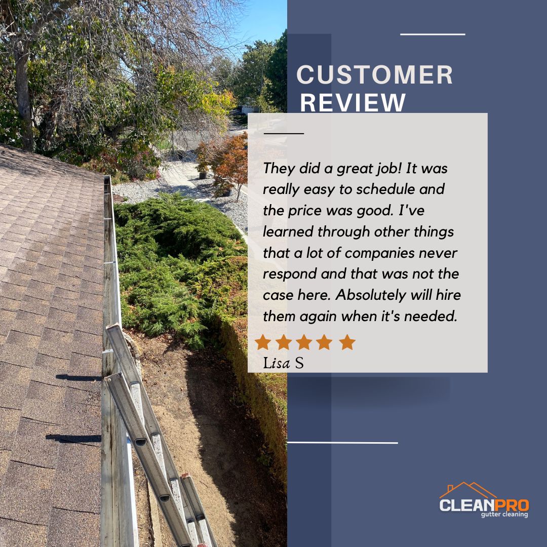 Lisa  from Virginia Beach, VA gives us a 5 star review for a recent gutter cleaning service.