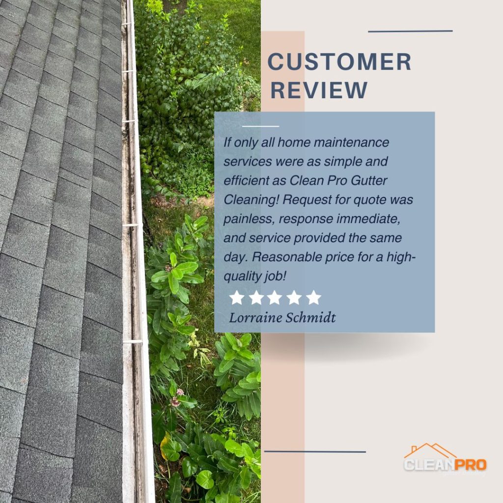 Lorraine from Rochester, NY gives us a 5 star review for a recent gutter cleaning service.