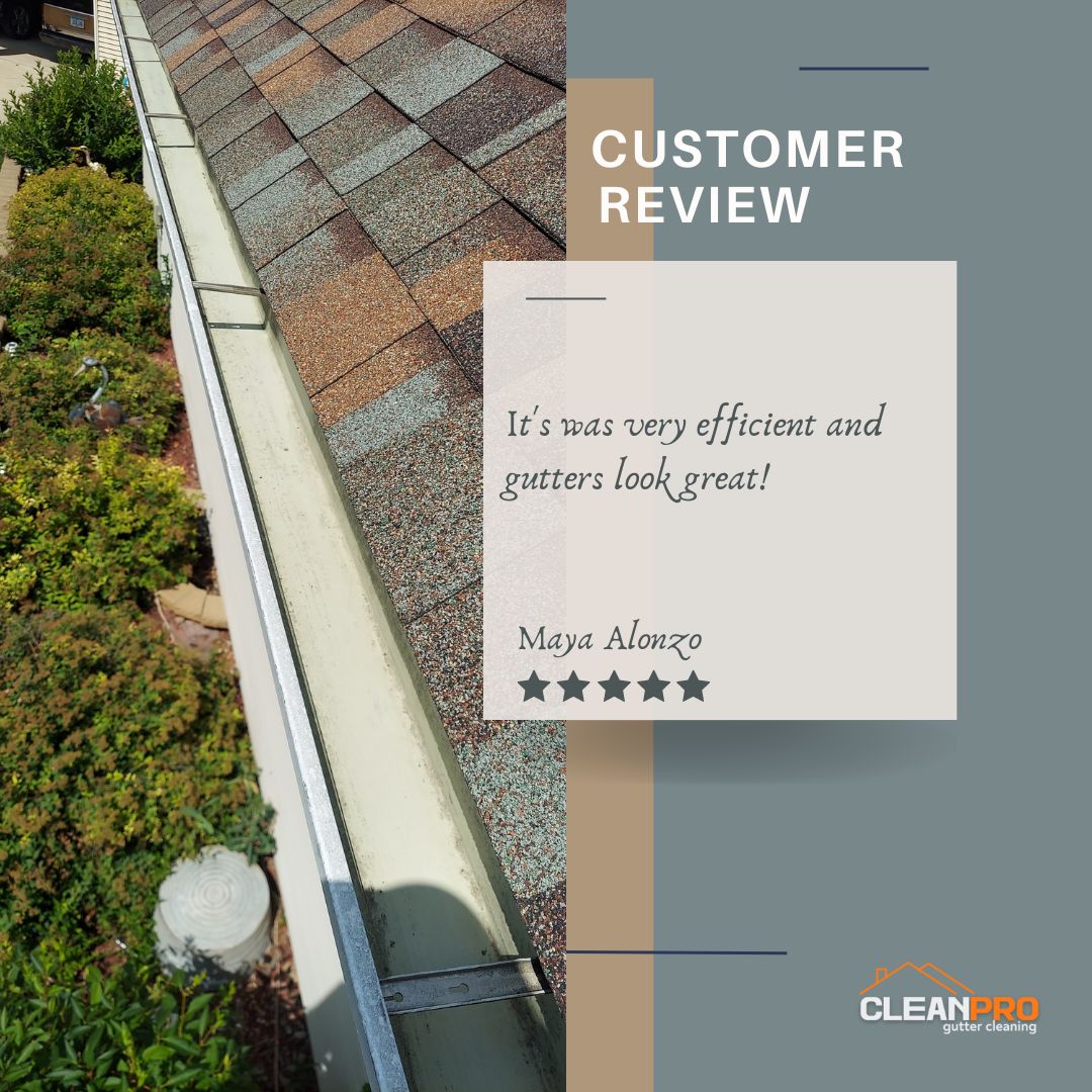 Maya in Raleigh, NC gives us a 5 star review for a recent gutter cleaning service.