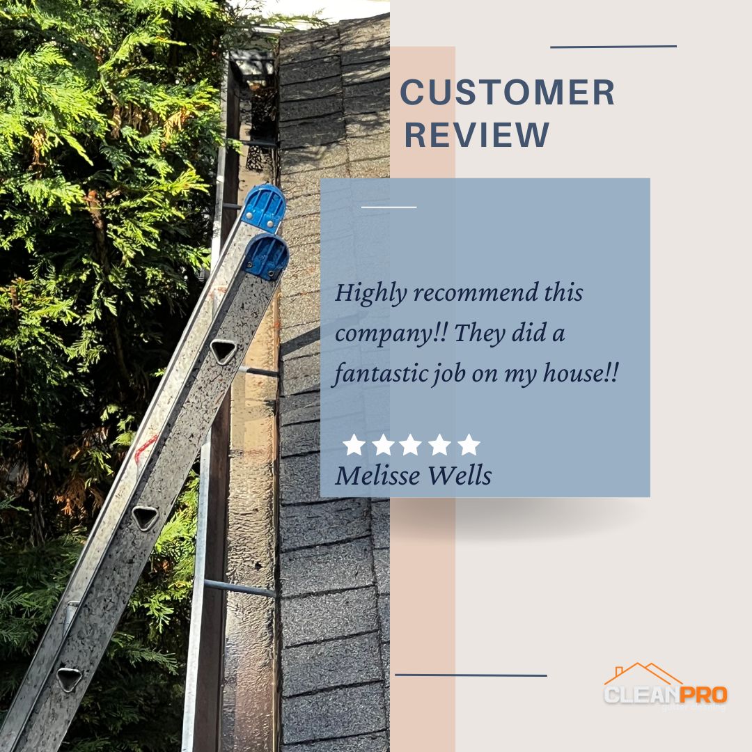 Melisse from Knoxville, TN gives us a 5 star review for a recent gutter cleaning service.